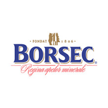 Borsec