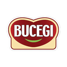 Bucegi